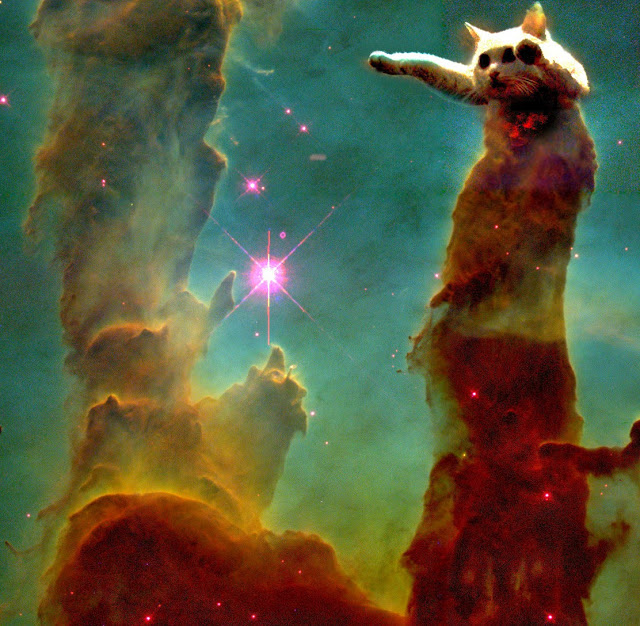 catsinspace8