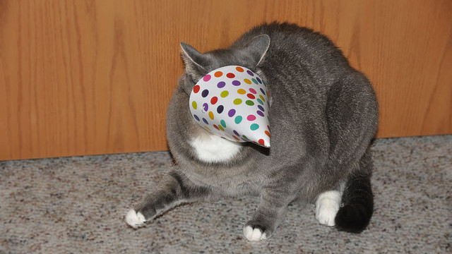 1-Flickr