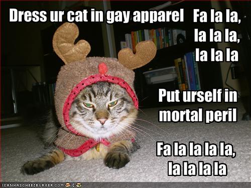 cat_in_gay_apparel