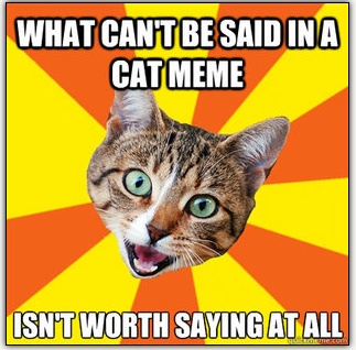 cat-meme