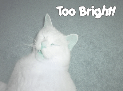 too_bright