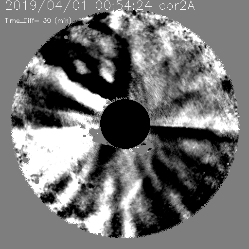 20190401_0054_seeds