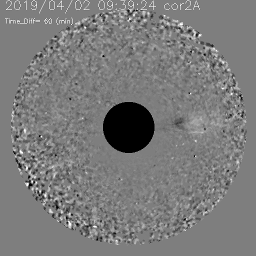 20190402_0939_seeds