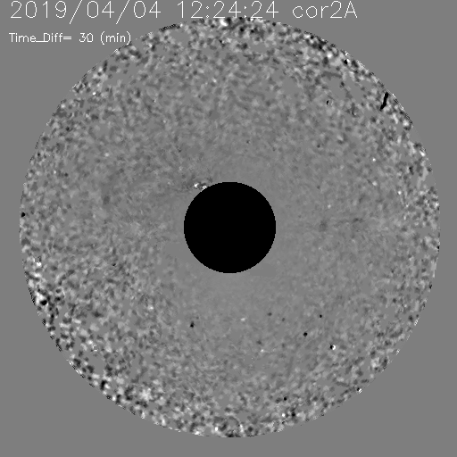20190404_1224_seeds