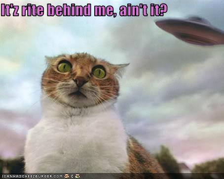 cat-sees-ufo