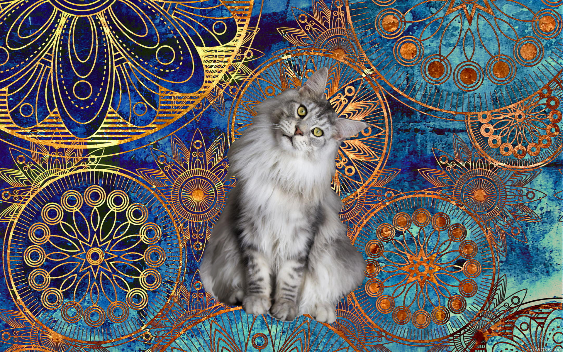 clockwork-cat-steampunk-kitty-animals-84WH