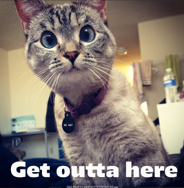 getouttahere
