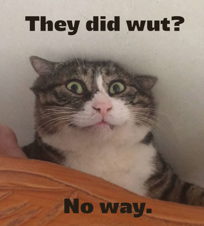 they-did-wut2