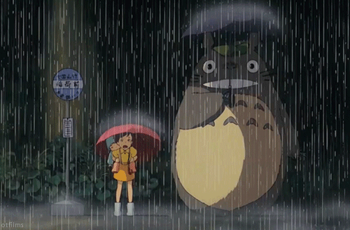 totoro-rain – Schrödinger's ÖTHER Cat