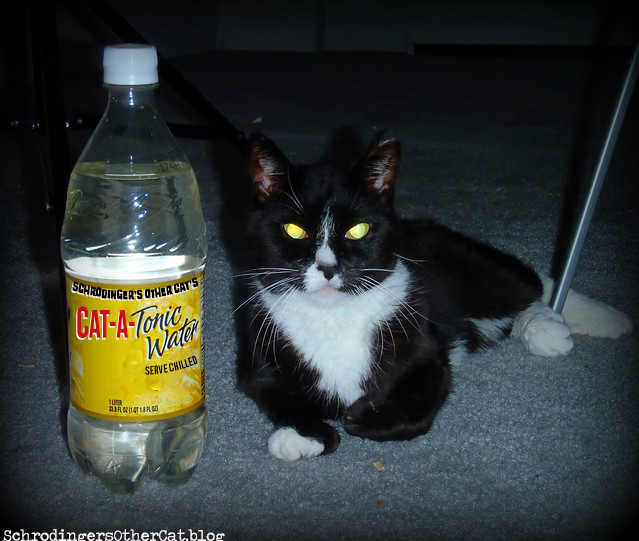 cat-a-tonic-water