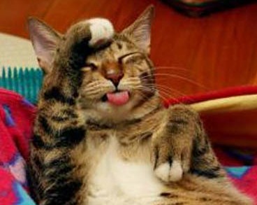 cat-with-headache