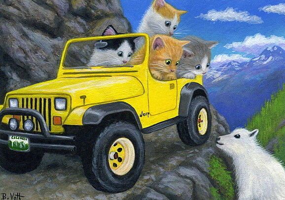 catsinajeep