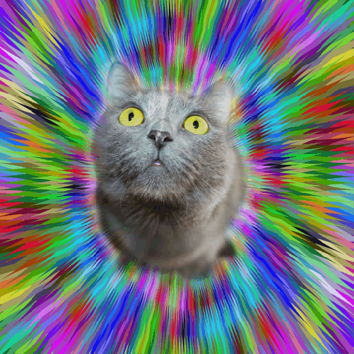 catttttt