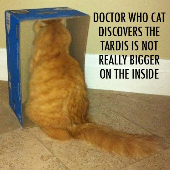 doctor-cat-who