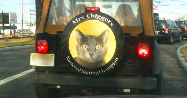 MrsChiggers