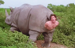rhino