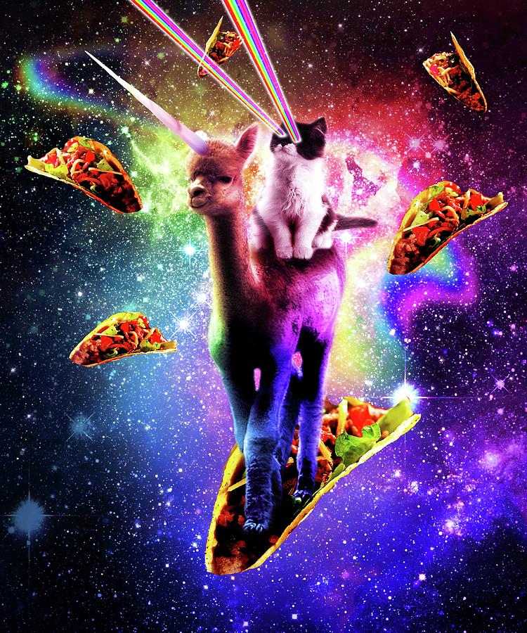 1-cosmic-cat-riding-alpaca-unicorn-random-galaxy