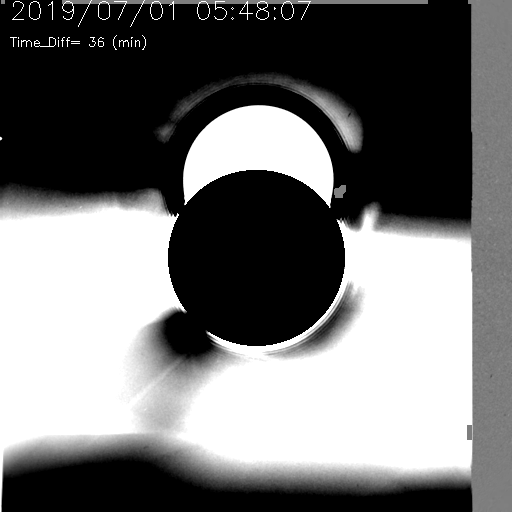 20190701_0548_seeds