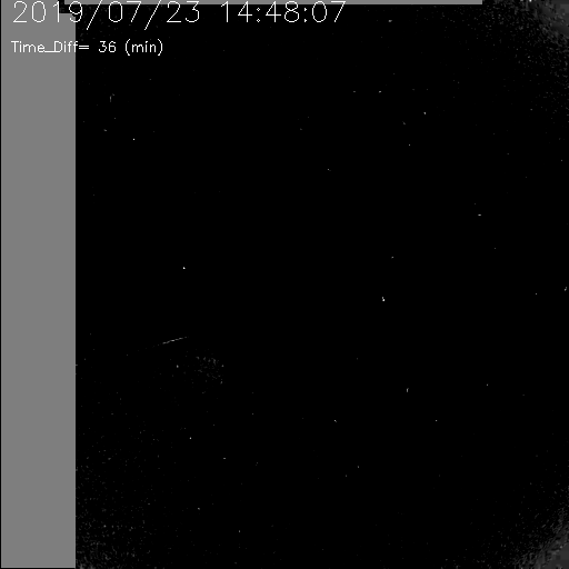 20190723_1448_seeds