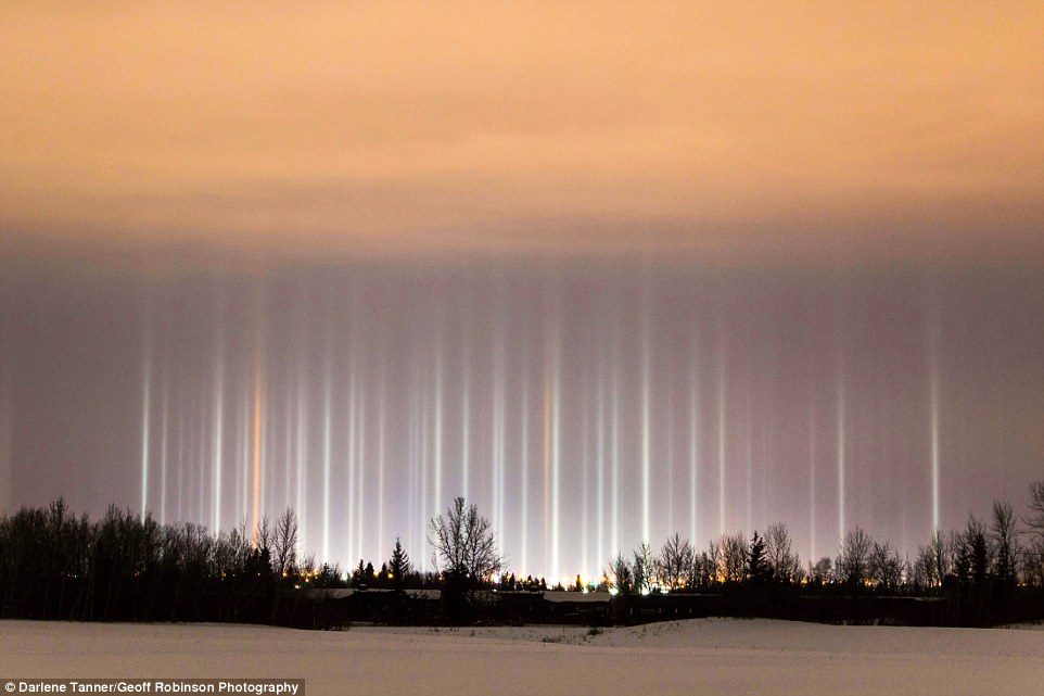 3C04491300000578-4116808-image-a-12_1484307443022