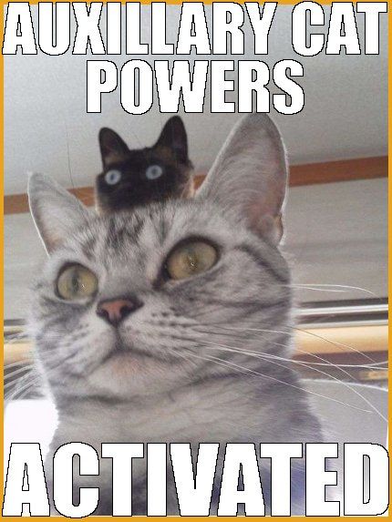 Auxilliary-Powers