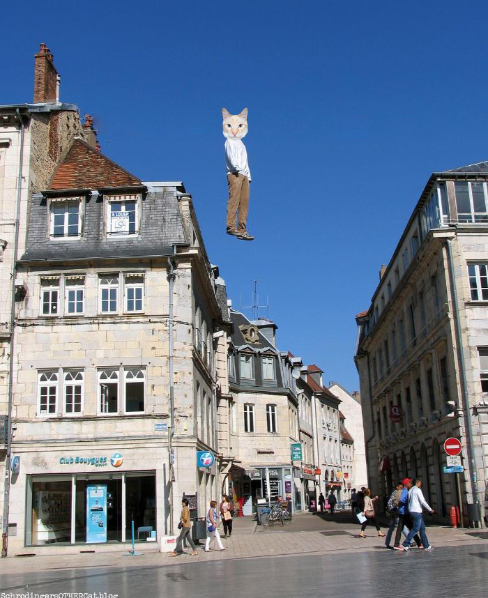 floating-merlin