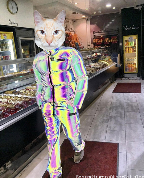 Merlin-suit_sm