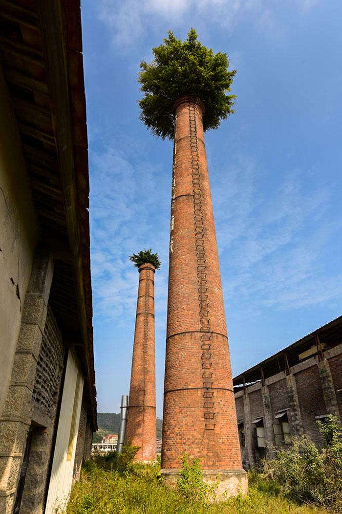 5d3020f8ed133-nature-reclaiming-taking-over-77-5cfe287b14248__700