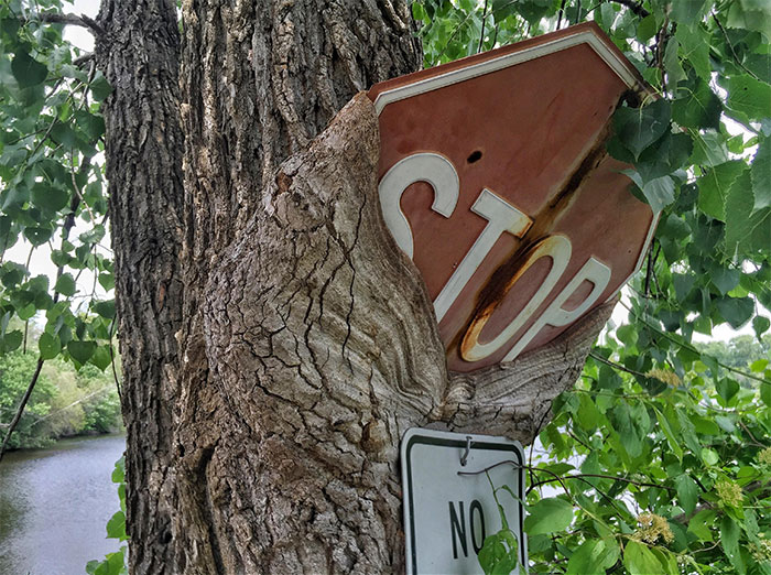 5d3020f91f27c-nature-reclaiming-taking-over-4-5d0253d4c2454__700