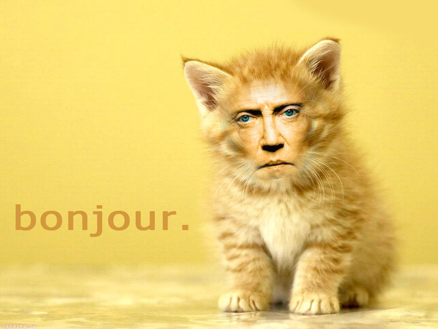 christopher_walken_cats_4_by_myownasylum