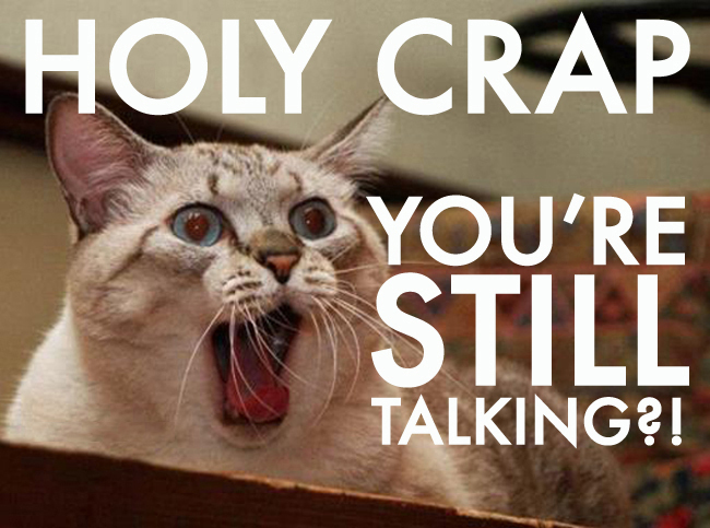 overwhelmed-cat