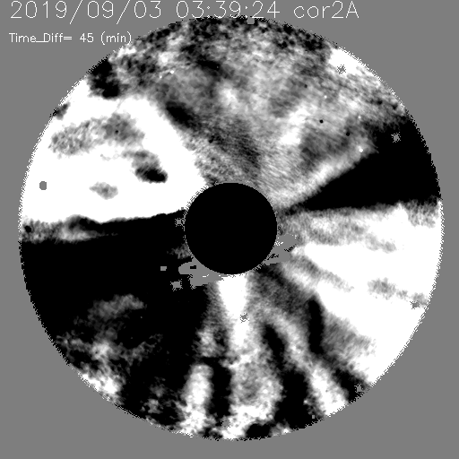 20190903_0339_seeds