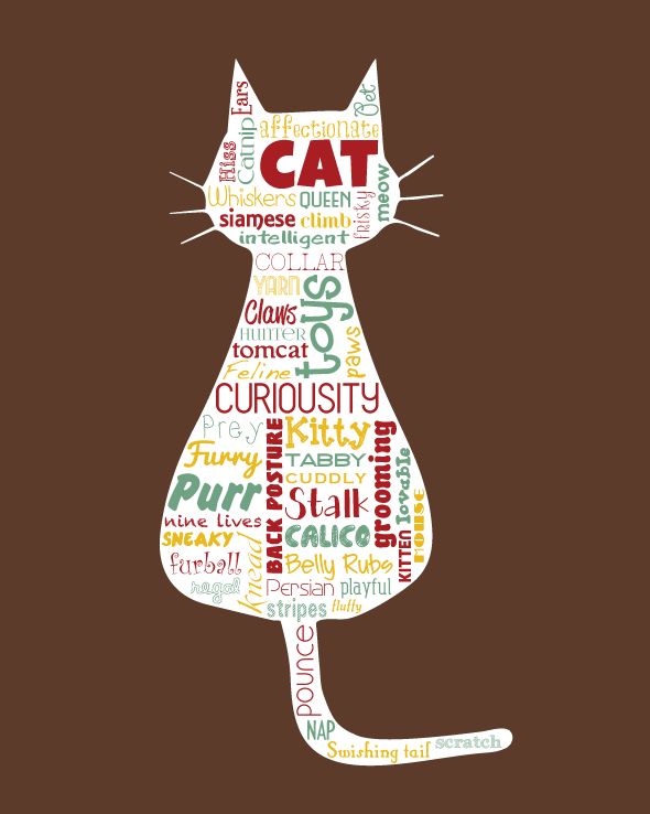 cat-illustrated