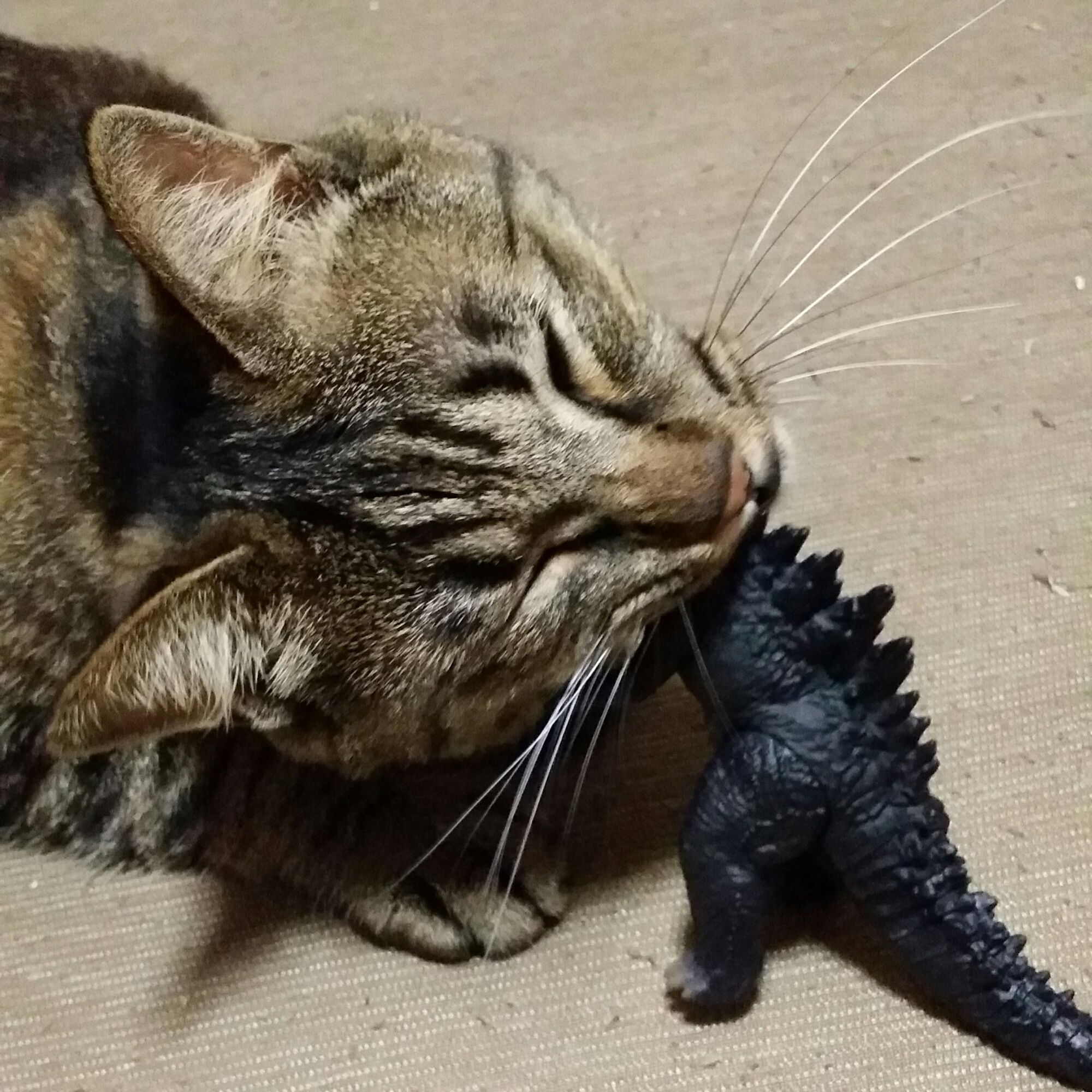 chomp