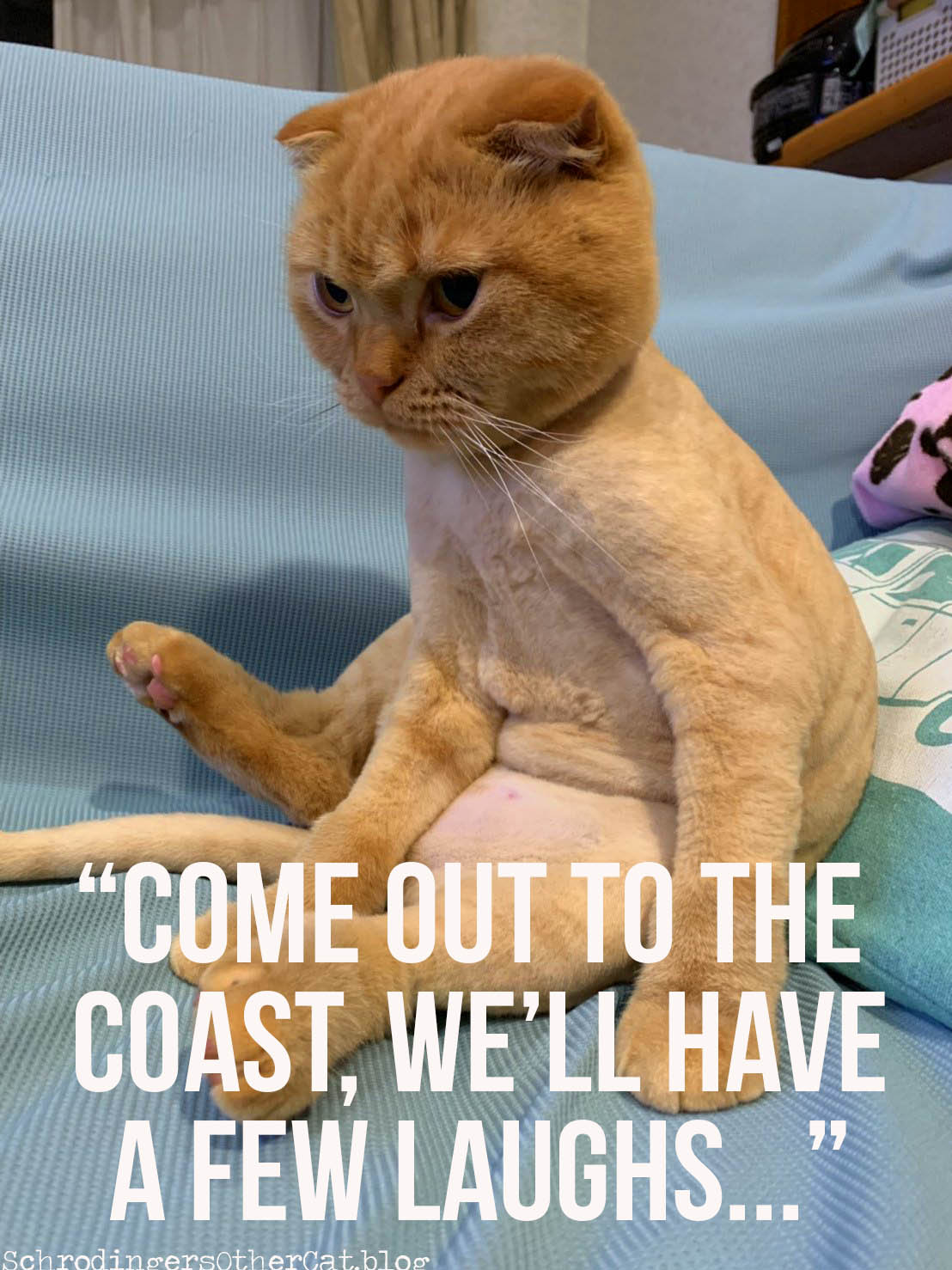 come-out-to-the-coast