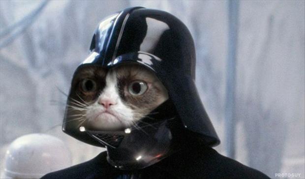 grumpy-cat-is-darth-vader