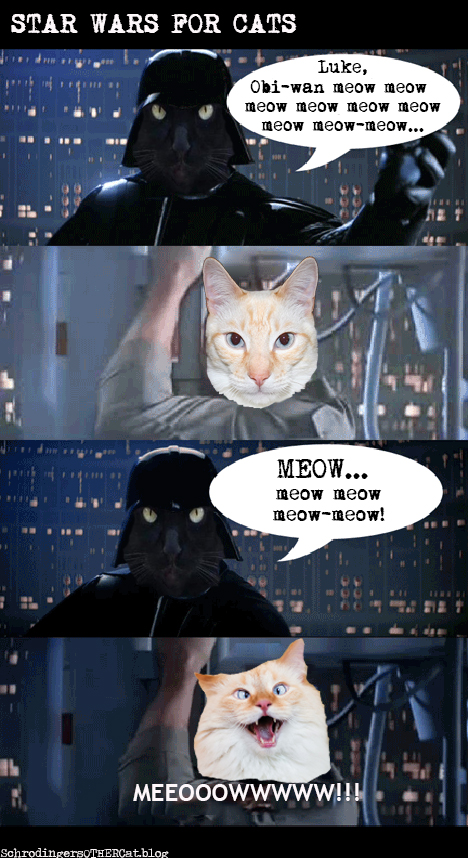 star-wars-for-cats