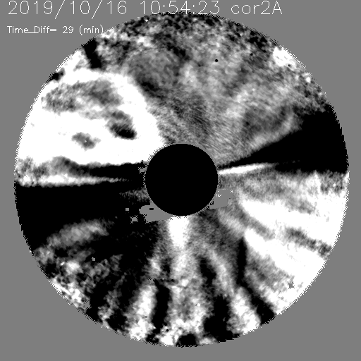 20191016_1054_seeds