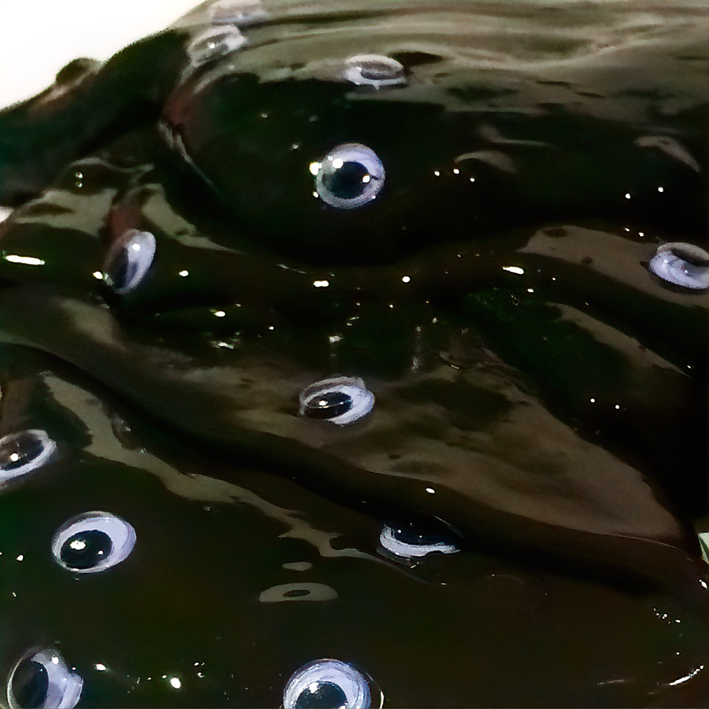 black-goo