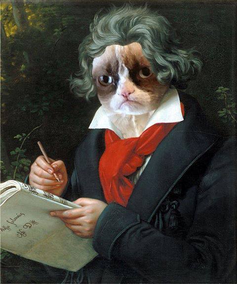 beethoven-cat