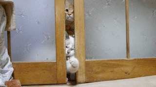 let-us-in.gif