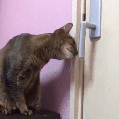open-close-door.gif