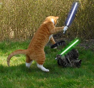 cats-with-lightsabers