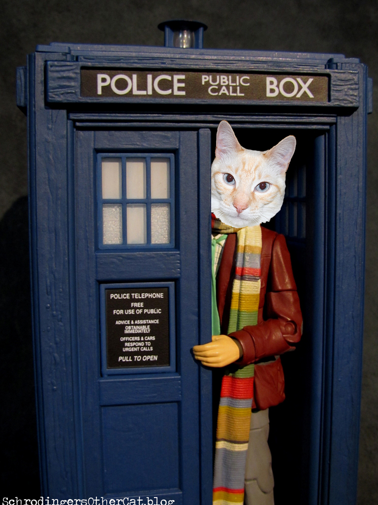 15th_Doctor_and-TARDIS.jpg
