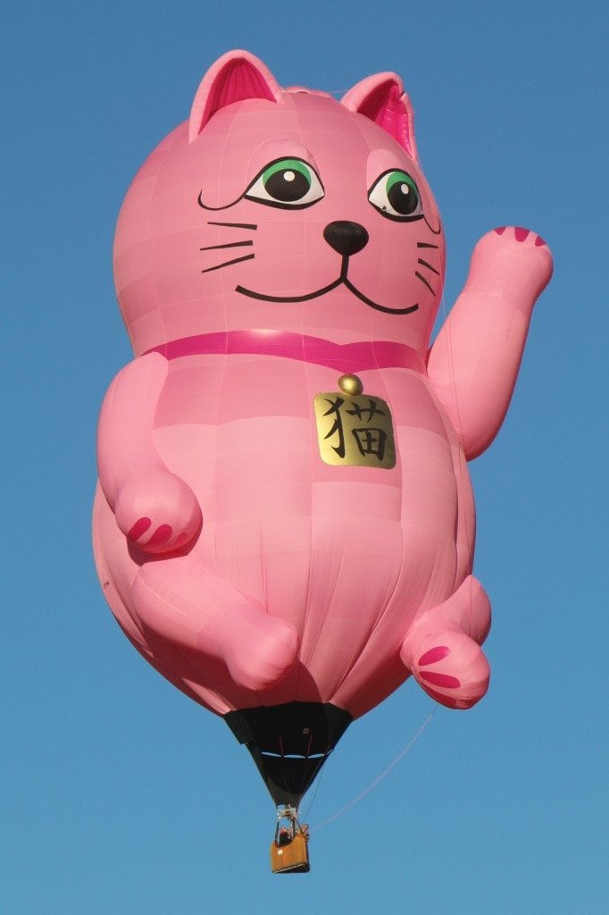 cat-baloon-Reno-Hot-Air-Baloon-Race-682x1024