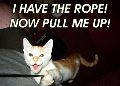 i-have-the-rope-now-pull-me-up