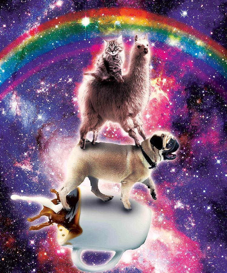 space-cat-llama-pug-riding-coffee-random-galaxy