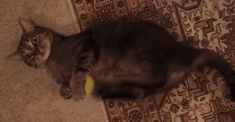 kick-this-ball