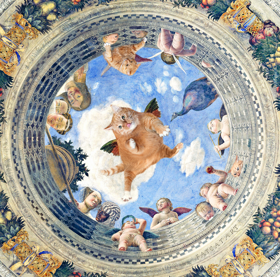 Mantegna-Oculus-cat-w