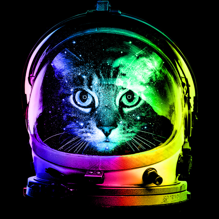 Rainbow-Astronaut-Cat